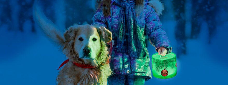 Luci - Lanterna de luz solar