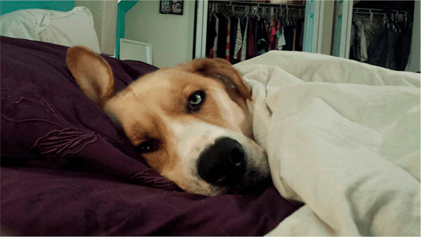 Quanto mais velhos ficamos, menos horas de sono precisamos