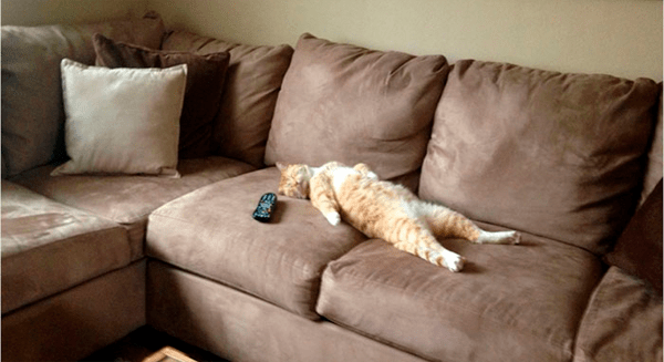 Dormiu mal a noite passada? Não se preocupe, pode recuperar