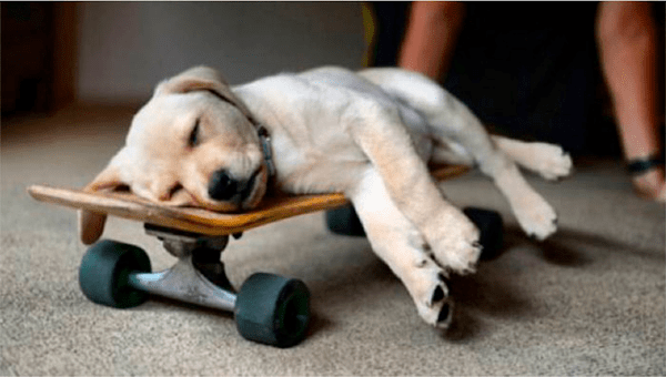 Não consegue dormir a noite toda seguida? Algo está errado